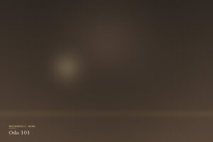 Oda 101 — Standart Tek Kişilik